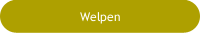 Welpen